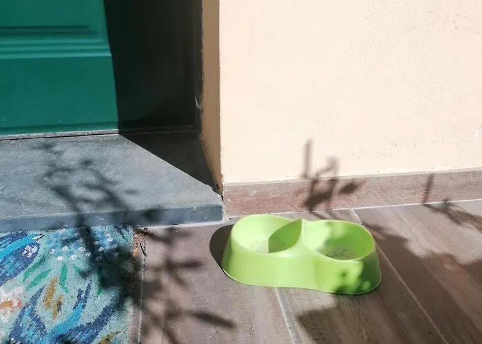La Casa Delle Rondini